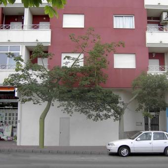 Torrevieja Ref. L283