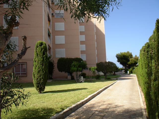 Apartmán La Zenia plaja 187
